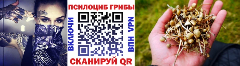 Псилоцибиновые грибы прущие грибы  Кола 